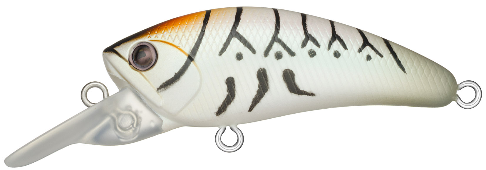 ダイビングダリア45F #BL2 CAN（カヌレ）