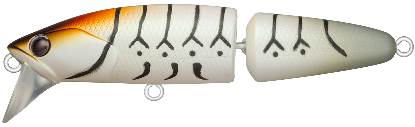 ジョイントダリア80S　#BL2-CAN（カヌレ）