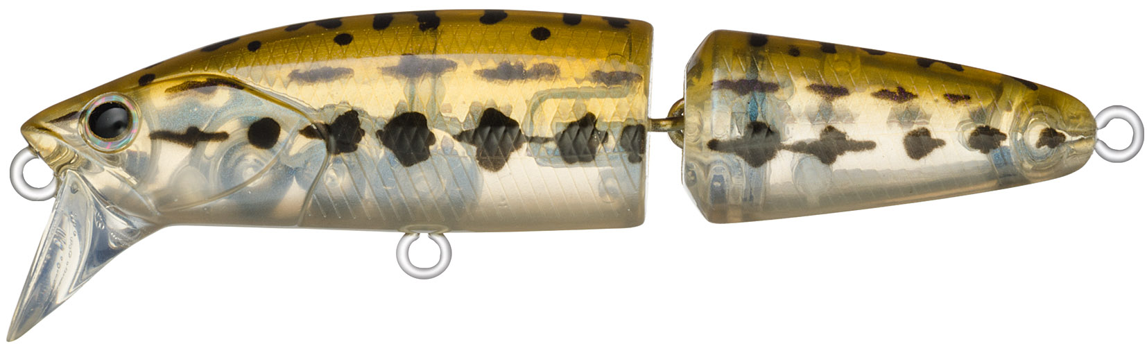 ジョイントダリア60S　#BL1-ADJ（アブラドジョウ）