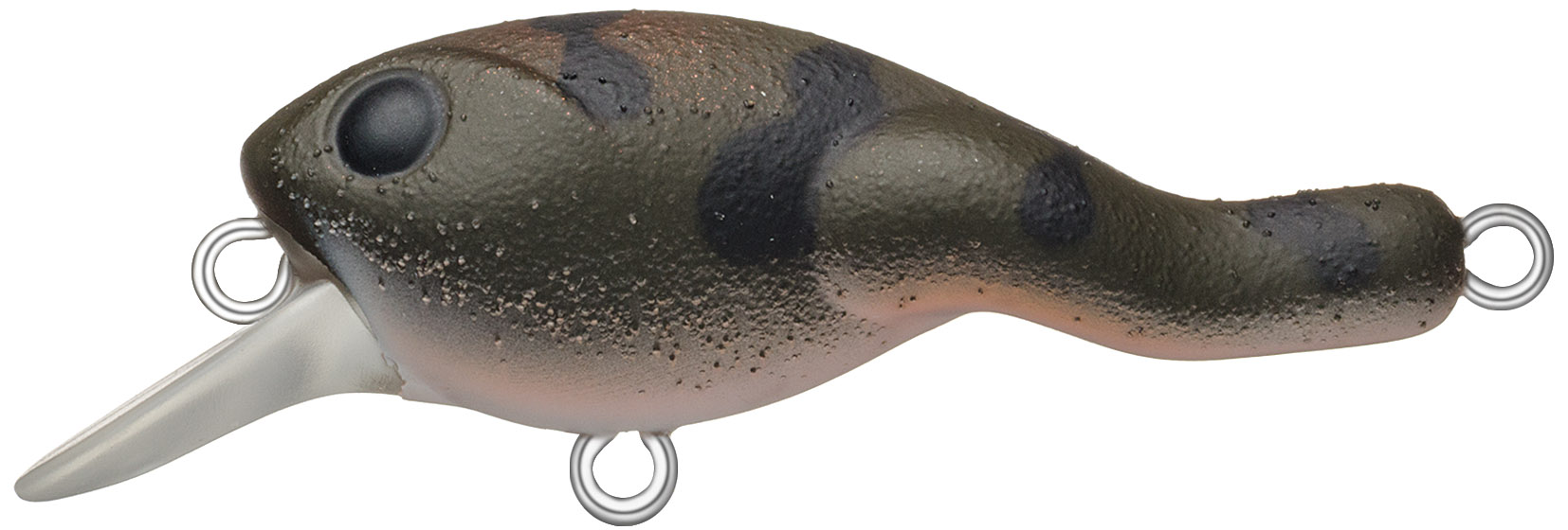 ダッドリーズ　BL3（カジカガエル）